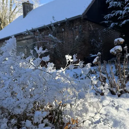 Couette-café Maison Mansel 3*